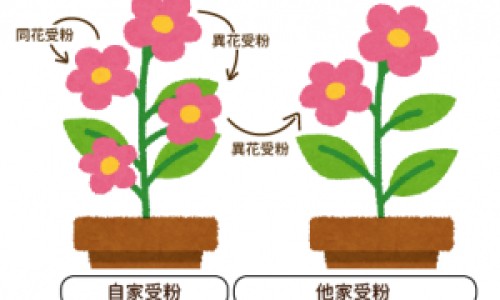 权威养胃舒软胶囊的吃法和用量平台,分享专业养胃舒软胶囊的吃法与用量知识_养胃舒软胶囊的吃法网