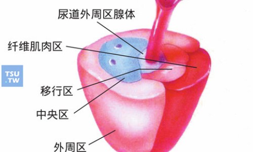 养胃舒软胶囊吃多久一个疗程-权威养胃舒软胶囊的吃法和用量平台,分享专业养胃舒软胶囊的吃法与用量知识_养胃舒软胶囊的吃法网