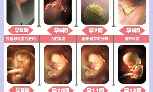 权威养胃舒软胶囊的吃法和用量平台,分享专业养胃舒软胶囊的吃法与用量知识_养胃舒软胶囊的吃法网
